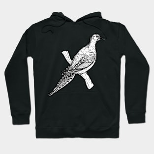 Pigeon Hoodie